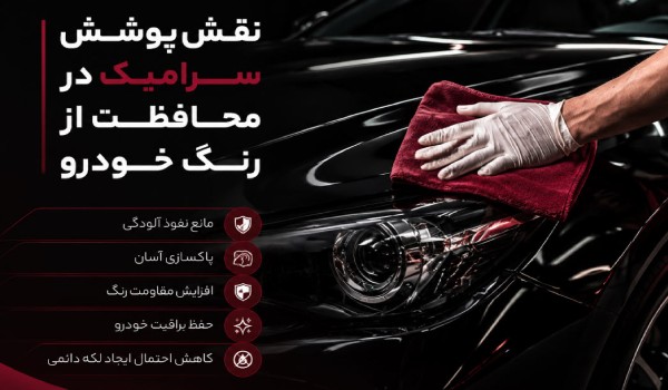 سرامیک برای پاک کردن فضله پرنده