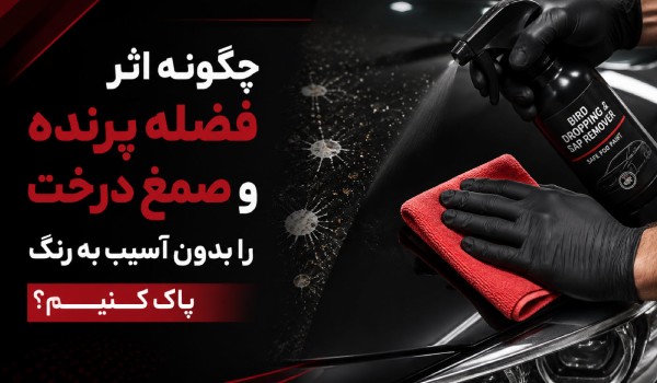آموزش پاک کردن فضله پرنده از روی خودرو